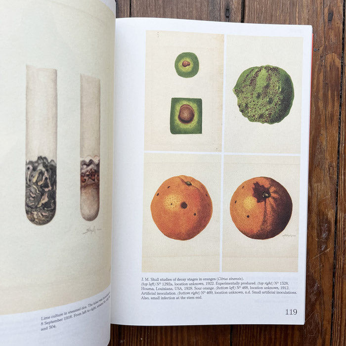 An Illustrated Catalog of American Fruits and Nuts 50 Watts Books