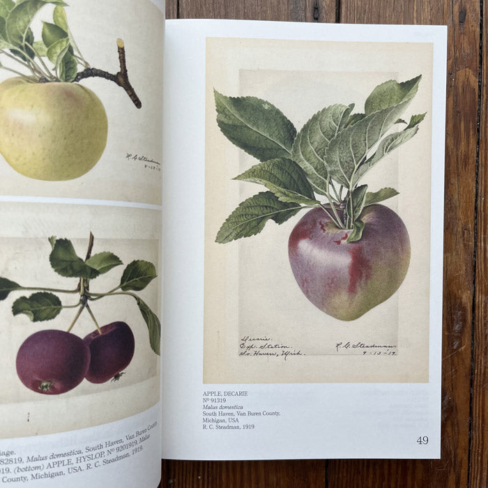 An Illustrated Catalog of American Fruits and Nuts