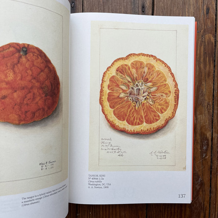 An Illustrated Catalog of American Fruits and Nuts 50 Watts Books