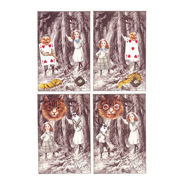 Alice's Adventures in Wonderland - Lewis Carroll and Jan Svankmajer