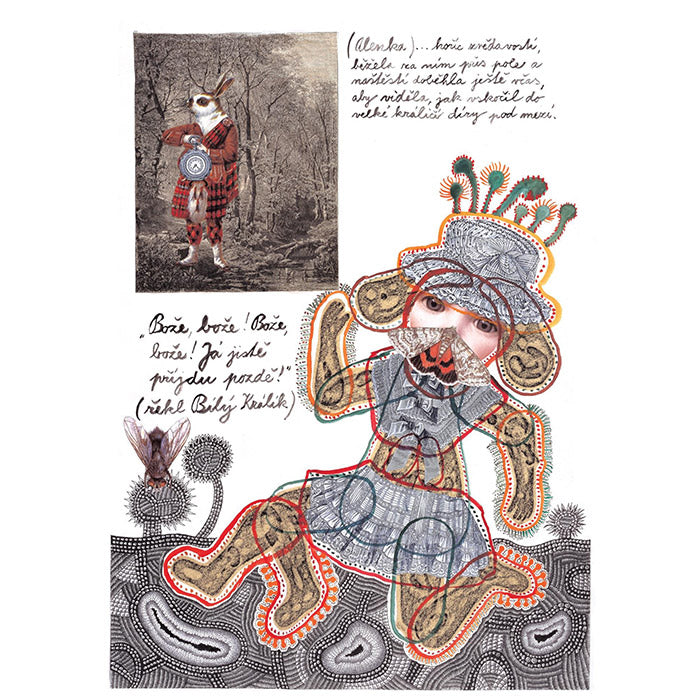 Jan Svankmajer Alice in Wonderland book by the surrealist Czech animator