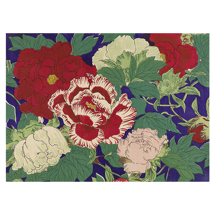 Japanese Decorative Papers - Book of Postcards – 50 Watts Books