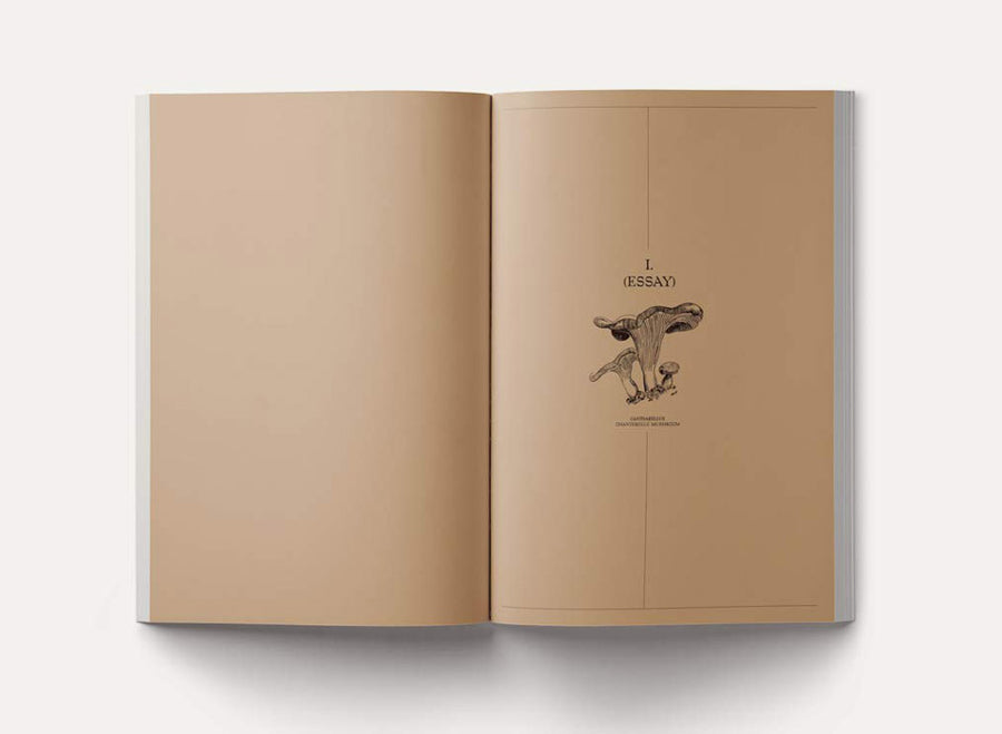 ジョン・ケージ John Cage A Mycological Foray John Cage: A Mycological Foray - John CAGE | shashasha