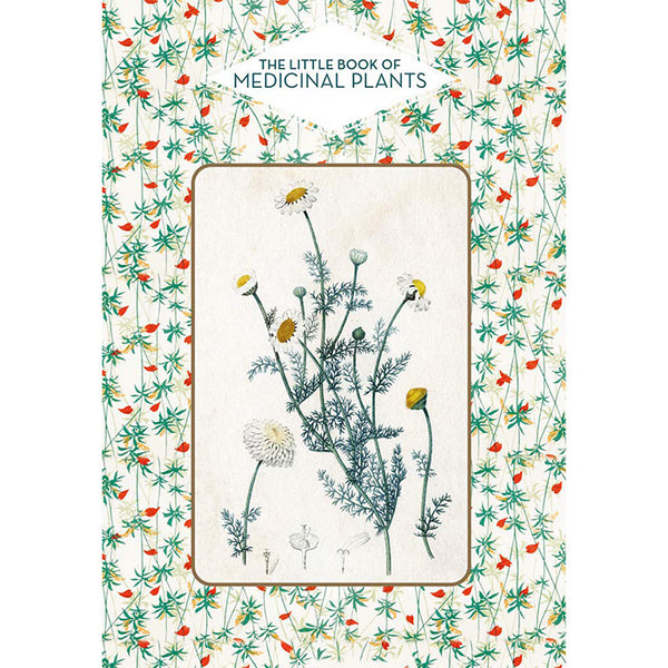 The Little Book of Medicinal Plants - Elisabeth Trotignon