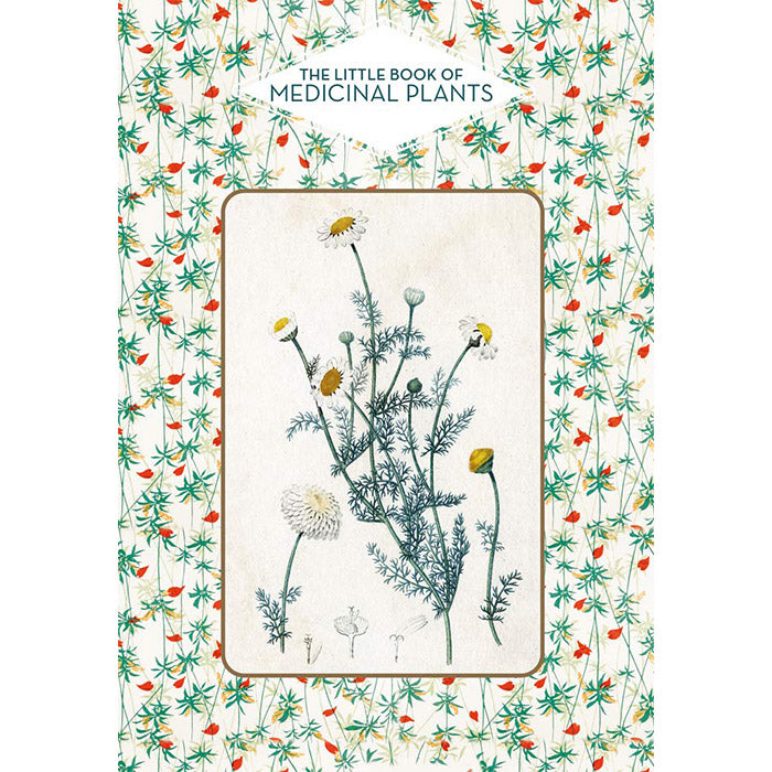 The Little Book of Medicinal Plants - Elisabeth Trotignon