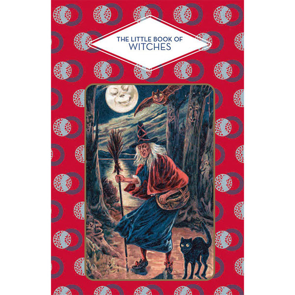 The Little Book of Witches - Dominique Foufelleis