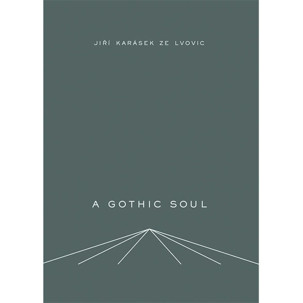 A Gothic Soul by Jiri Karasek / Lovely 141-page hardcover from Twisted Spoon Press / ISBN 9788086264462