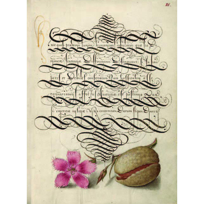 Mira Calligraphiae Monumenta - Joris Hoefnagel – 50 Watts Books