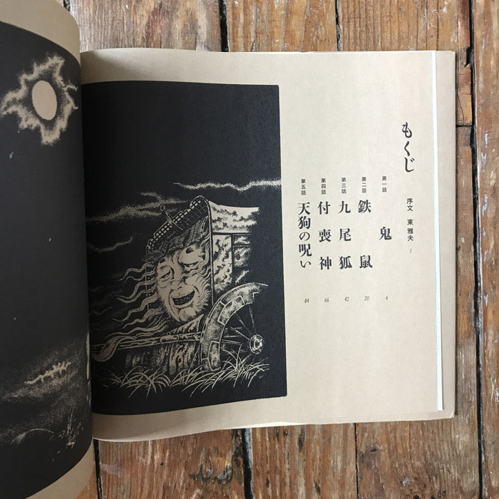 Marina Shirakawa's Yokai Picture Book