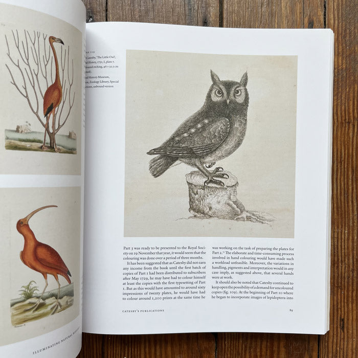 Illuminating Natural History - The Art and Science of Mark Catesby