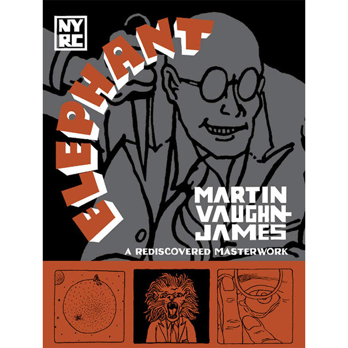 The Projector and The Elephant - Martin Vaughn-James