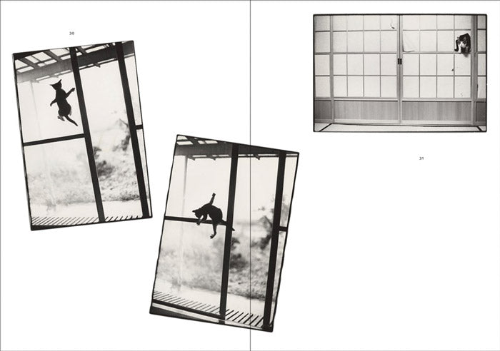 Masahisa Fukase - Sasuke | cat photography book classic