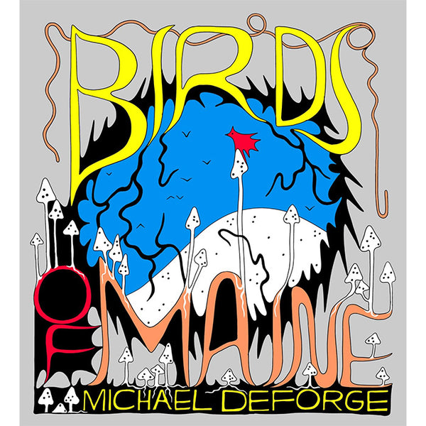 Birds of Maine - Michael DeForge