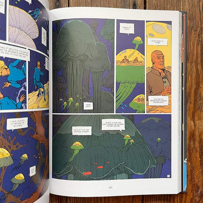 The Incal (Discounted)