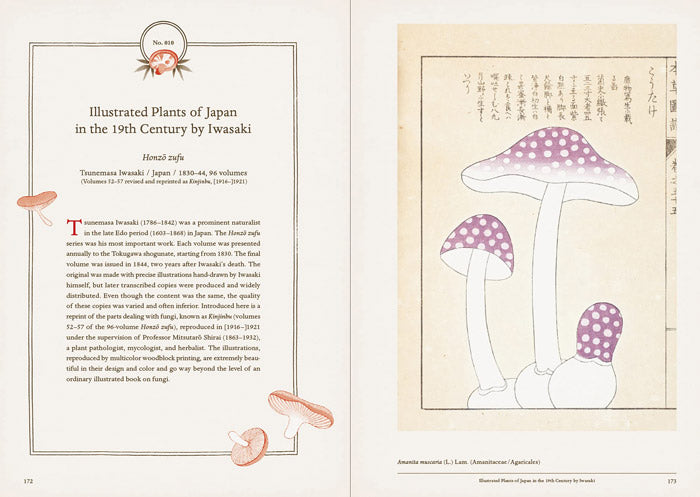 Mushroom Botanical Art by Toshimitsu Fukiharu – 50 Watts Books