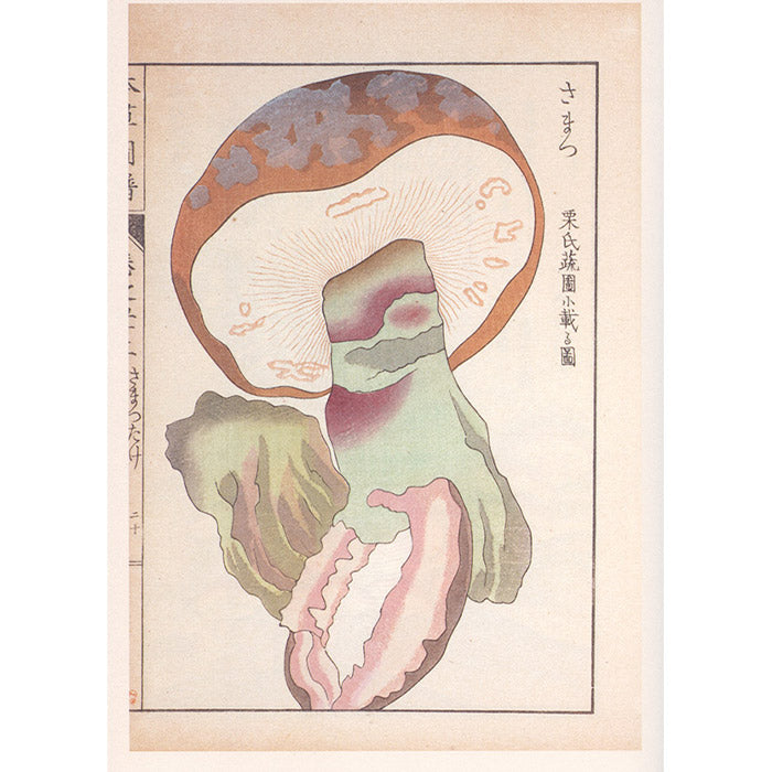 Mushroom Botanical Art book by Toshimitsu Fukiharu