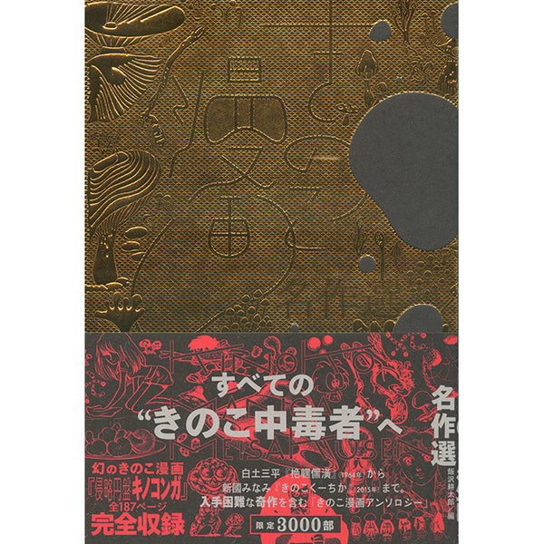 印刷物幻のTADANORI YOKOO(横尾忠則)のポスター - 印刷物