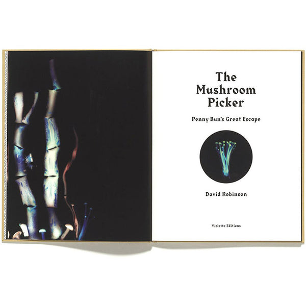 The Mushroom Picker - David Robinson
