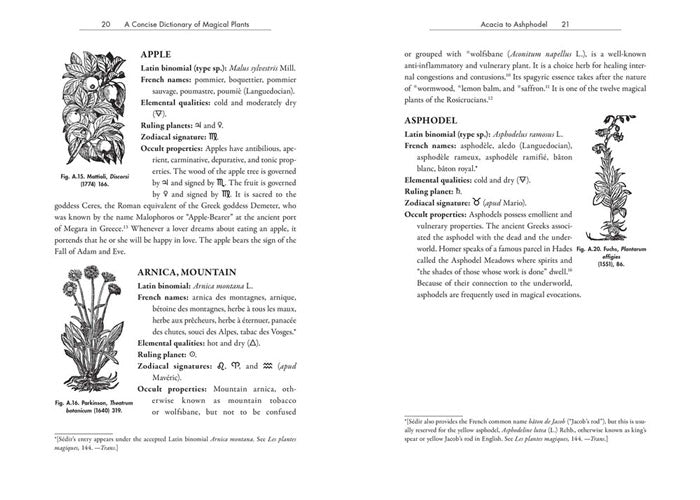 Occult Botany - Sedir's Concise Guide to Magical Plants – 50 Watts Books