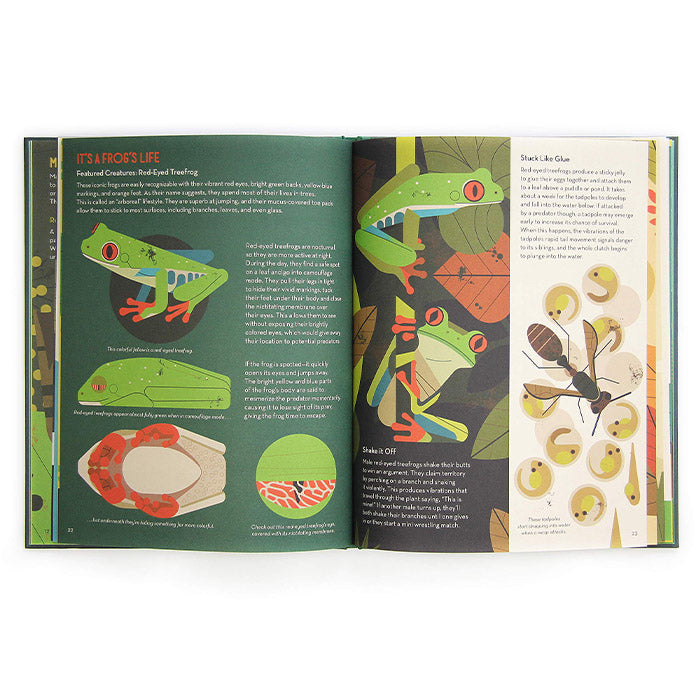 Fanatical About Frogs by Owen Davey / ISBN 9781912497980 / 40-page hardcover picture book from Flying Eye Books