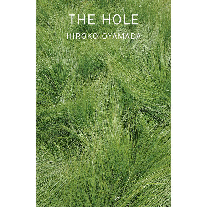 The Hole by Hiroko Oyamada / ISBN 9780811228879 / 112-page paperback from New Directions