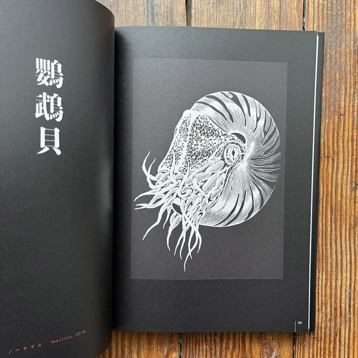 The Papercut Art Of Masayo Fukuda