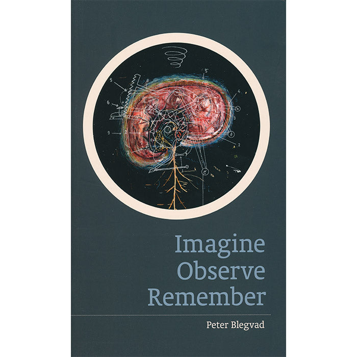 Imagine, Observe, Remember - Peter Blegvad