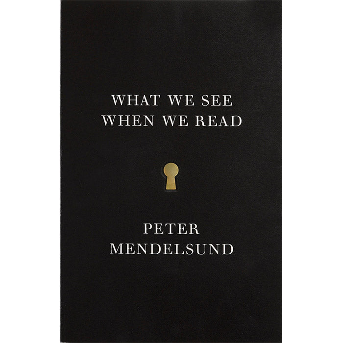 What We See When We Read - Peter Mendelsund