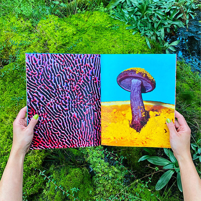 Mushrooms and Friends 2 - Phyllis Ma