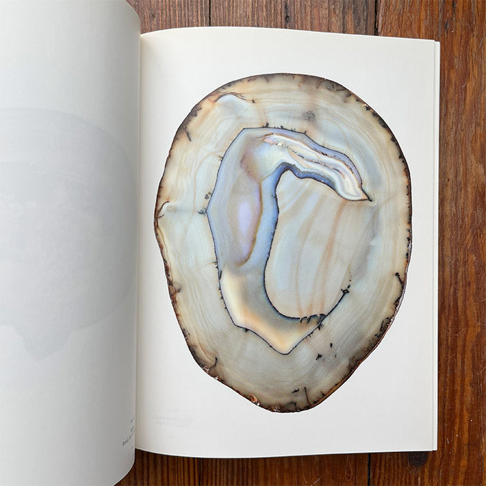 アート・デザイン・音楽 ROGER CAILLOIS LA LECTURE DES PIERRES La Lecture des Pierres - Roger Caillois – 50 Watts Books