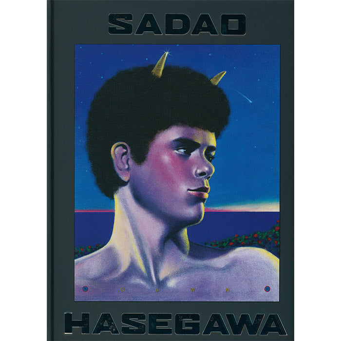 Sadao Hasegawa art book