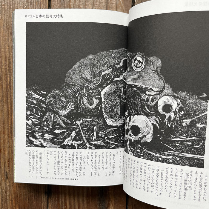 Shigeru Mizuki - Yokai book - Manga Daizenshu Supplement