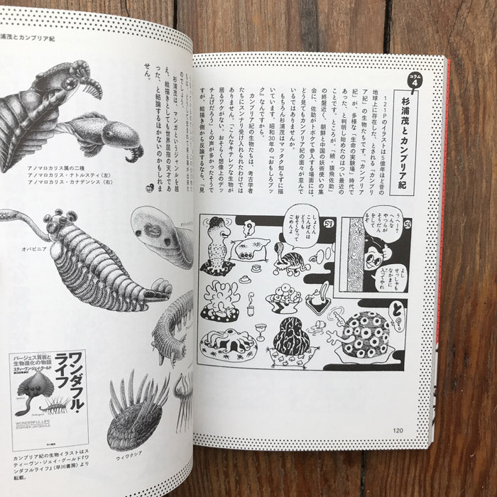 Shigeru Sugiura's Mysterious World – 50 Watts Books