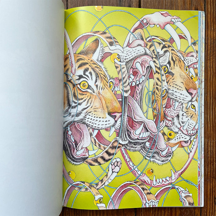 Shintaro Kago - Artbook Volume 2