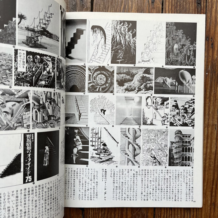 Super Art Gocoo magazine - January 1980