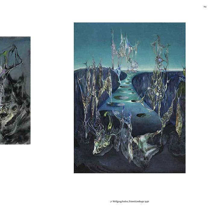 Surrealism and Magic - Enchanted Modernity – 50 Watts Books