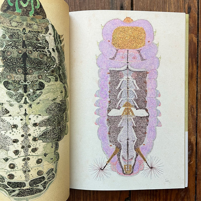 I, Caterpillar - Suzuko Momoyama