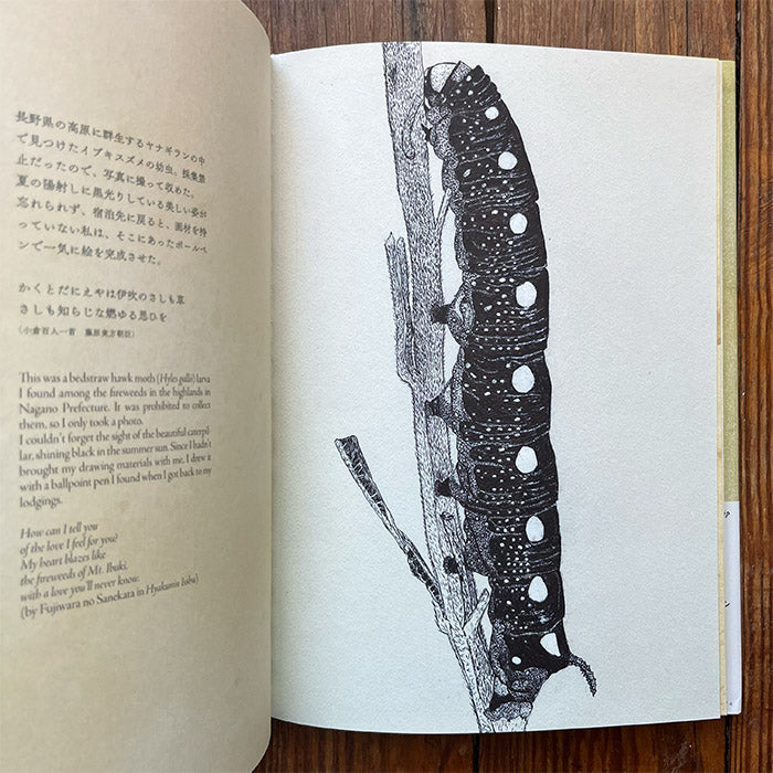I, Caterpillar - Suzuko Momoyama