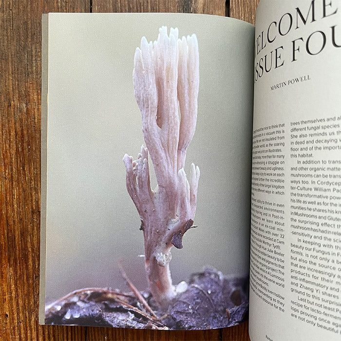 The Mushroom (Issue Four)