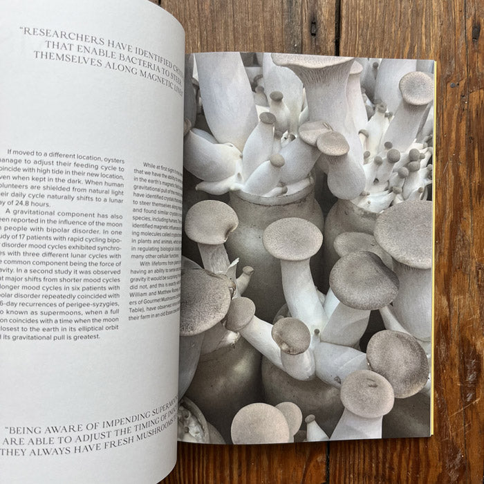 The Mushroom (Issue One)