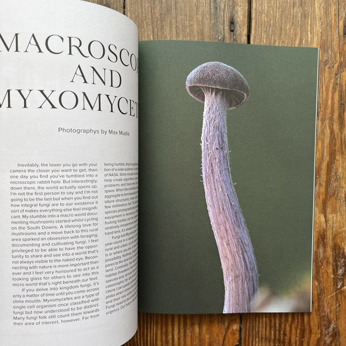 The Mushroom (Issue Three)