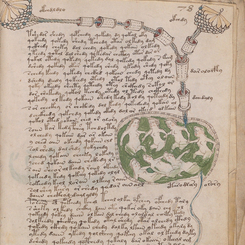 The Voynich Manuscript - The World's Most Mysterious And Esoteric Code ...