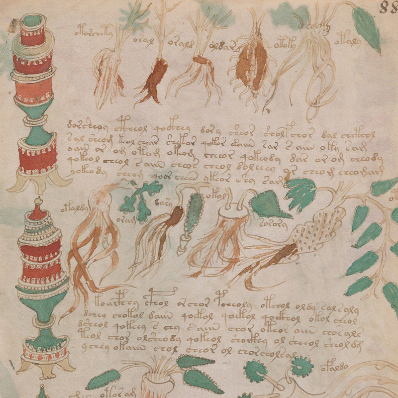 The Voynich Manuscript - The World's Most Mysterious and Esoteric Code ...