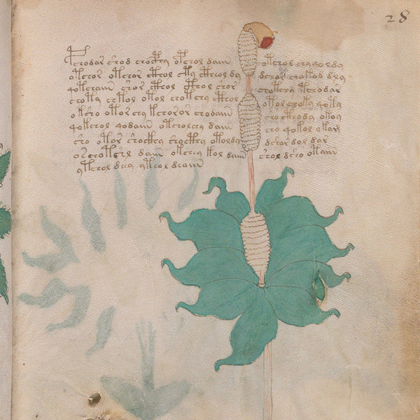 The Voynich Manuscript - The World's Most Mysterious and Esoteric Codex
