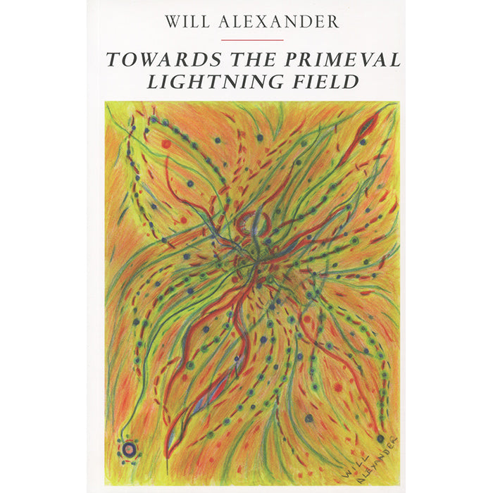 Towards the Primeval Lightning Field - Will Alexander